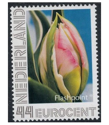 Tulp Flashpoint (xx)