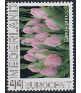 Tulp Candy Prince (xx)