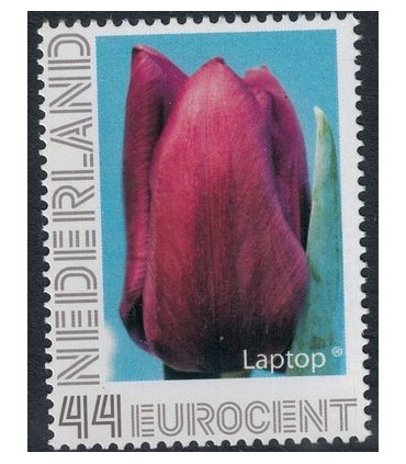 Tulp Laptop (xx)