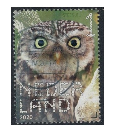 3831 Beleef de natuur Steenuil (o)