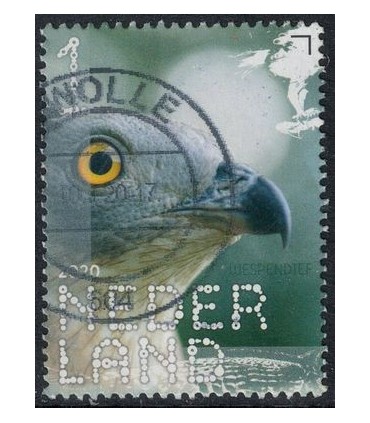 3813 Beleef de natuur Wespendief (o)