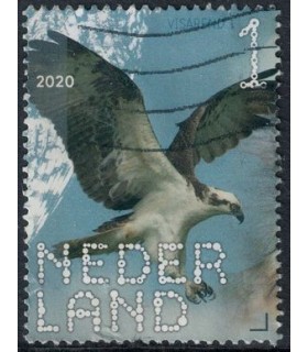 3812 Beleef de natuur Visarend (o)