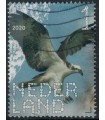 3812 Beleef de natuur Visarend (o)