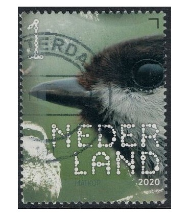3874 Beleef de natuur matkop (o)