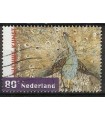 1980 Nieuwe kunst (o)