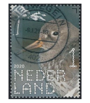 3857 Beleef de natuur Strandloper (o)