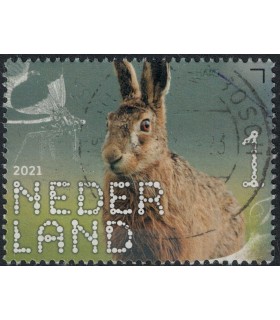 3939 Beleef de natuur Landgoed Haarzuilens (o)