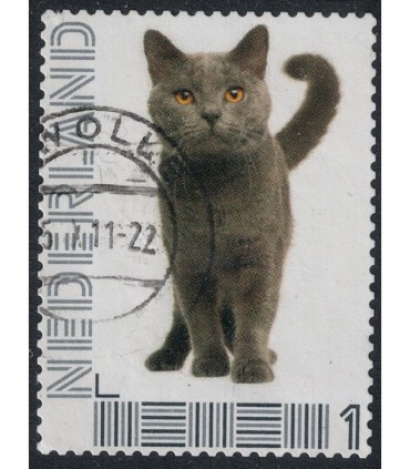 Poes (o) 7.