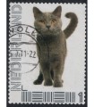 Poes (o) 7.
