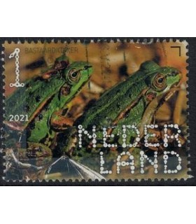 3945 Beleef de natuur Landgoed Bastaardkikker (o)