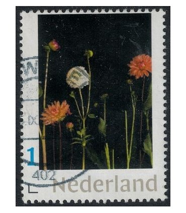 Bloemen (o)
