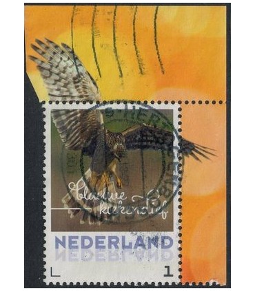 2017 Herfstvogels Blauwe Kiekendief (o) TAB