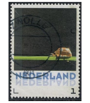 3012 ?? Victor Bos Natuurkunst 2016 (o) 5.