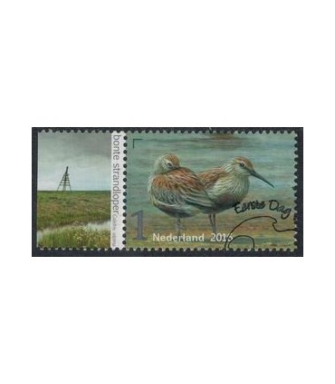 3405 Griend Strandloper (o) TAB