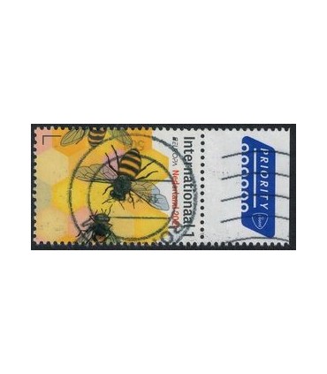 3925 Bedreigde bijen soorten (o) 2.