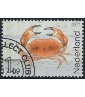 3552 Leven in de Noordzee Noordzeekrab (o) c
