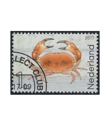3552 Leven in de Noordzee Noordzeekrab (o) c