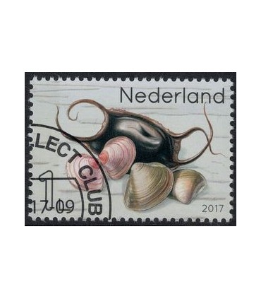 3554 Leven in de Noordzee Nonnetje (o)