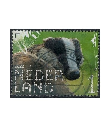 4033 Beleef de natuur Das (o)