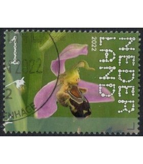 4034 Beleef de natuur Bijenorchis (o)