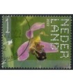 4034 Beleef de natuur Bijenorchis (o)