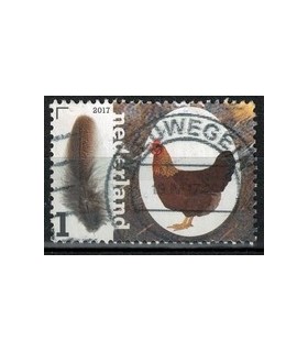 3497 Kippenrassen Welsumer (o)