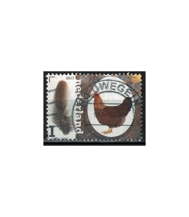 3497 Kippenrassen Welsumer (o)