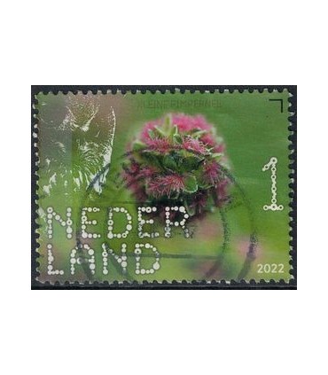 4029 Beleef de natuur Pimpernel (o)