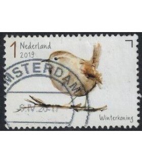 3744 Tuinvogels winterkoning (o)