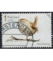 3744 Tuinvogels winterkoning (o)