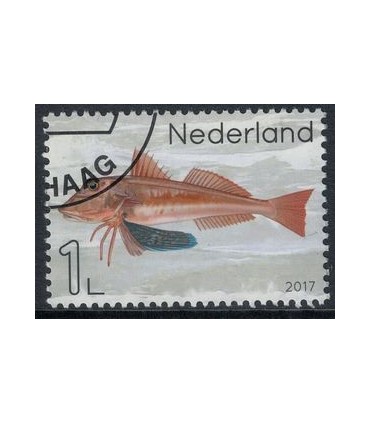 3551 Leven in de Noordzee rode poon (o)