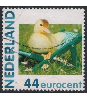 2682 Hb-22 Hallmark kuiken (o)