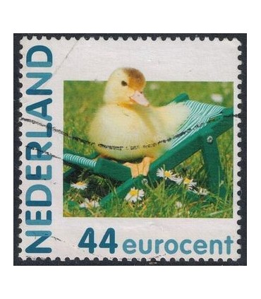 2682 Hb-22 Hallmark kuiken (o)