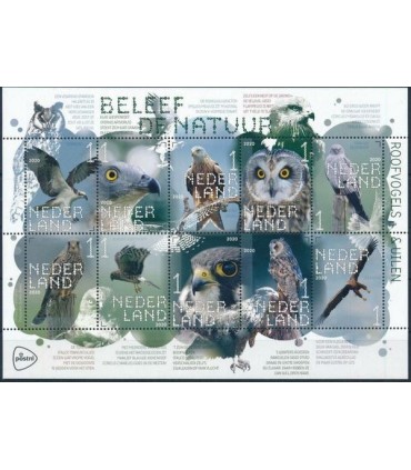3812 - 3821 Beleef de natuur Roofvogels (xx)