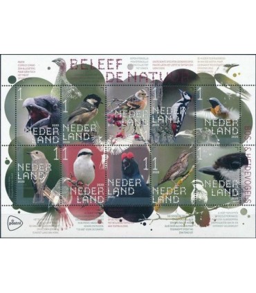 3865 - 3874 Beleef de natuur bos en heide (xx)