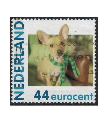 2682 Hc-14 Hallmark Hond met Sjaal (o)