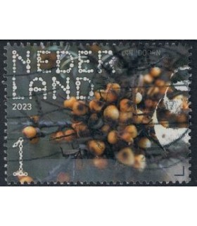 4084 Beleef de natuur Duindoorn (o)
