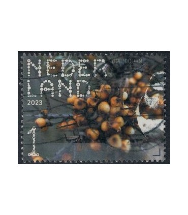 4084 Beleef de natuur Duindoorn (o)