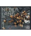 4084 Beleef de natuur Duindoorn (o)