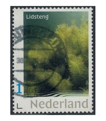 Lidsteng (o)