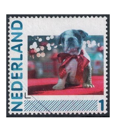 2791 Hb-08 Hond met strik (o)