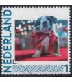 2791 Hb-08 Hond met strik (o)