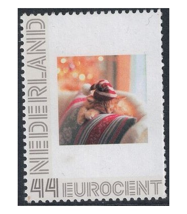 2563 H11 Kat met muts (xx)