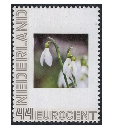 2563 H15 Sneeuwvlokje (xx)