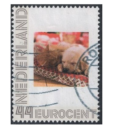 2563 H23 Kat en hond (o)