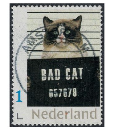 Bad Cat (o)
