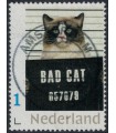 Bad Cat (o)
