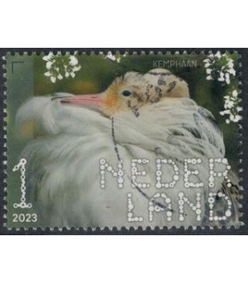 4095 Beleef de natuur Kemphaan (o)