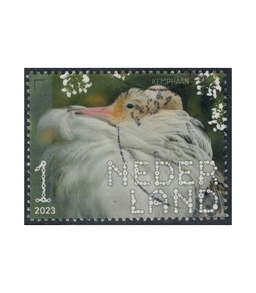 4095 Beleef de natuur Kemphaan (o)