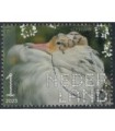 4095 Beleef de natuur Kemphaan (o)
